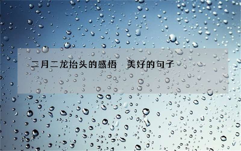 二月二龙抬头的感悟 美好的句子